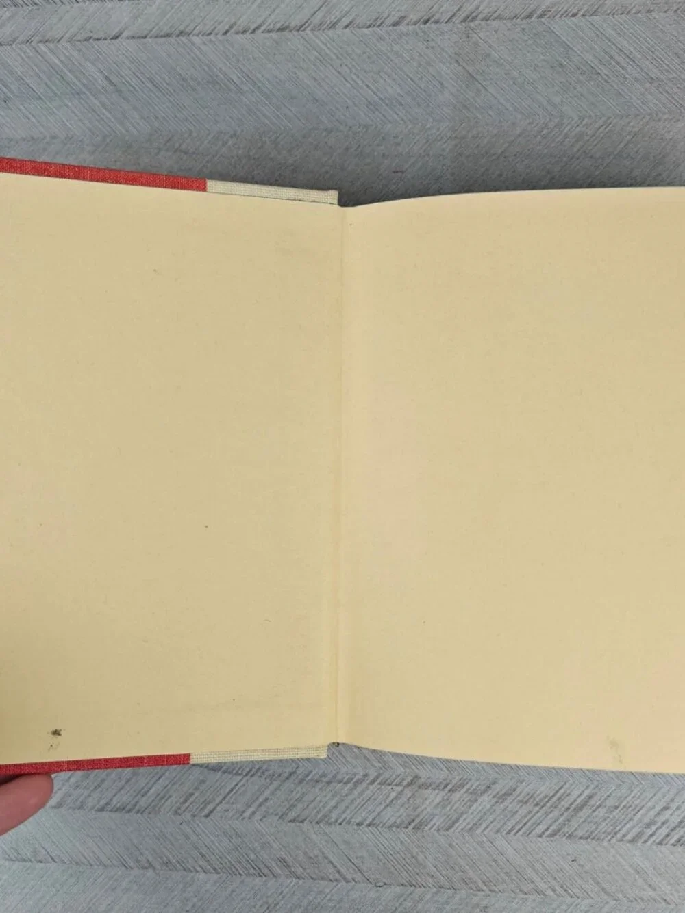 The Young Lion Hunter Zane Grey Hardcover 1939 Western Adventure Classic